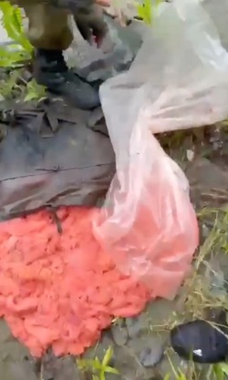Более 50 кг сырца икры изъяли у браконьеров в Макаровском районе