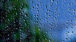 Проливные дожди, тепло и туман: прогноз погоды на Сахалине в пятницу, 13 мая