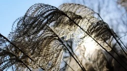 Тепло и без осадков: прогноз погоды в Сахалинской области на 19 марта