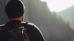 Как безопасно сходить в лес за дикоросами на Сахалине?