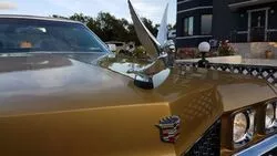 Toyota Crown 1979-го и Celica 1973 года: шесть ретроавтомобилей на Сахалине