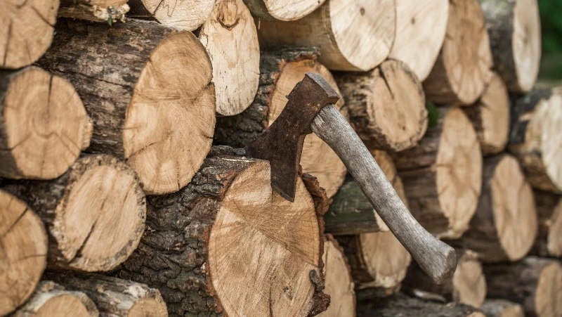 Церковный праздник 5 ноября 2024: что нельзя делать в этот день, приметы