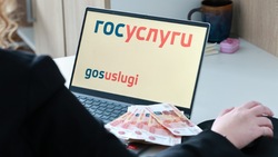 МВД предупредило о рассылке фейковых сообщений от имени Госуслуг