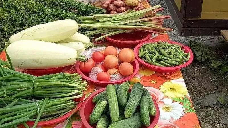 На Шикотане впервые открыли точку продажи местной сельхозпродукции