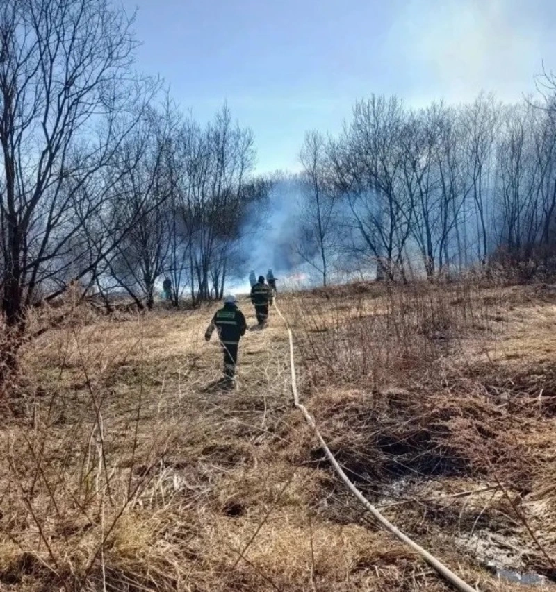 Огонь с сухой травы едва не перекинулся на лес в Холмском районе