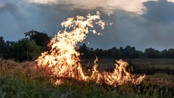 Опасную ситуацию с пожарами спрогнозировали на весну в Сахалинской области