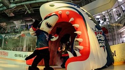 «Сахалинские Акулы» проведут два заключительных домашних матча сезона