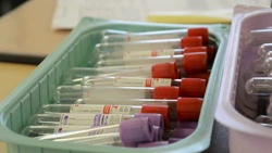 Ученый призвал создавать вакцины из кишечных вирусов