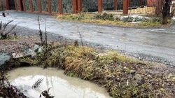 Новые жильцы частного сектора топят соседей в Южно-Сахалинске. Проблему не решают