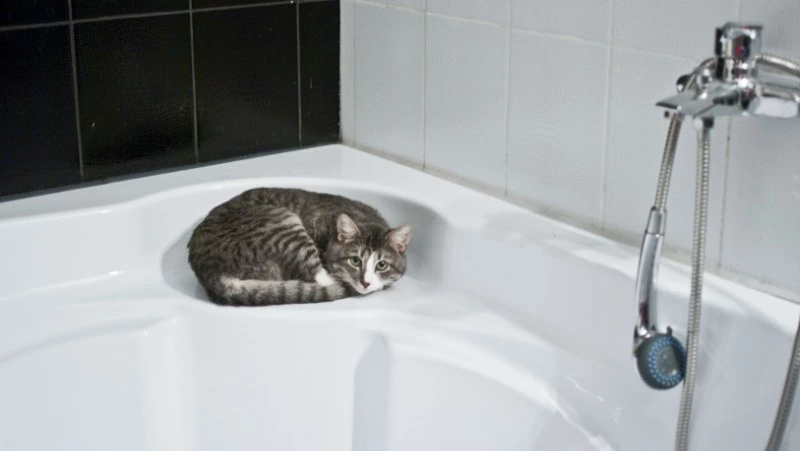 Горячую воду отключат на 10 дней во всех домах Южно-Сахалинска