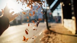 Теплые осенние выходные ждут жителей Сахалина