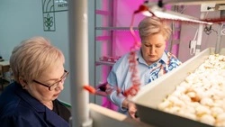 Южно-сахалинские педагоги обменялись опытом с коллегами из Благовещенска