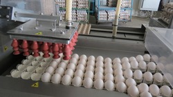 Жителям отдаленных районов Южно-Сахалинска привезут яйцо и мясо с птицефабрики
