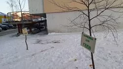 В Южно-Сахалинске соорудили «парковку для геев»