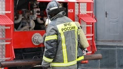 Курицы погибли в огне при пожаре в Углегорском районе