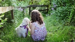 Горячую линию проекта «1000 дворов» открыли на Сахалине