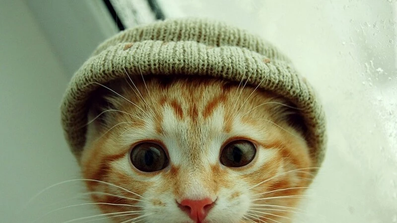 На Сахалине на выходных +25 градусов: +12 в субботу и +13 в воскресенье