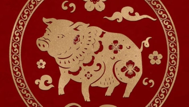 Китайский гороскоп на ноябрь 2025 года: месяц огненной свиньи