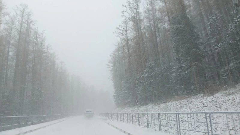 Метель на Сахалине и ливень на Курилах спрогнозировали синоптики на 18 ноября