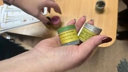 Как в нашем детстве: диафильмы показали маленьким сахалинцам