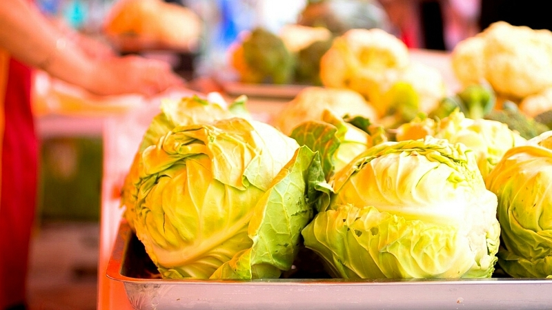 Сахалинцы полюбили капусту
