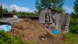 За что могут оштрафовать сахалинских дачников. Инфографика