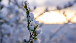 Легкий снег и умеренный ветер прогнозируют в Сахалинской области 15 февраля