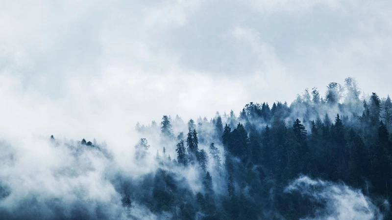 Переохлажденный и обезвоженный мужчина несколько дней бродил по Парамуширу