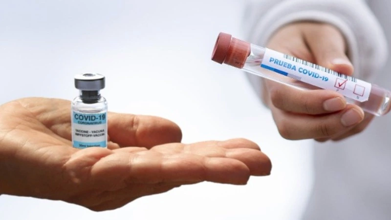 Коллективный иммунитет от COVID-19 на Северных Курилах близок к идеалу