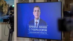 Дзюба выделила главные вопросы, озвученные на прямой линии с  Лимаренко