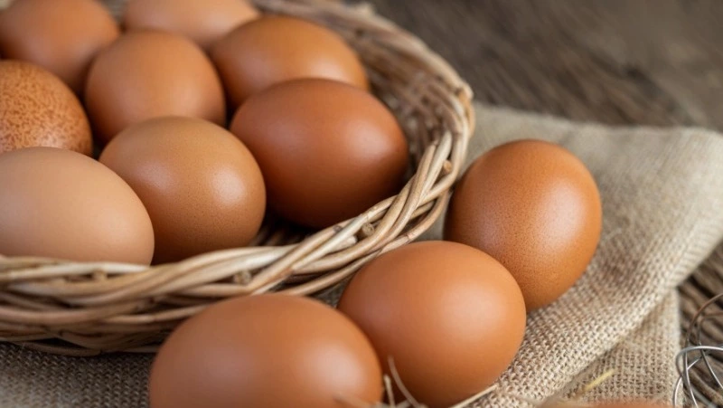 Антибиотики нашли в куриных яйцах из магазинов Южно-Сахалинска