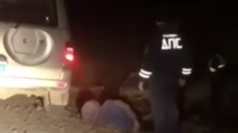 В Томаринском районе полуночная погоня закончилась полетом в кювет