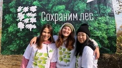 Города Сахалинской области украсили 10 тысяч новых деревьев в 2022 году