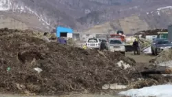 После скандала мэр Томари заставила промысловиков покинуть пляж