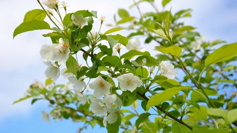 Церковный праздник 19 апреля 2025: что нельзя делать в этот день, приметы