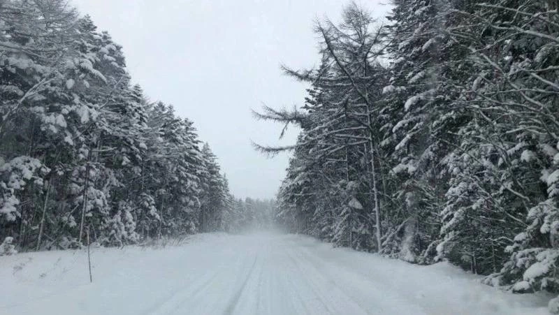 Закрытый из-за метели участок трассы на севере Сахалина открыли для машин