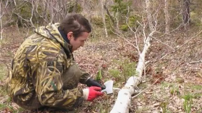 Институт морской геологии и геофизики отмечает 70-летие