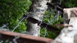 Бойцу с Сахалина дали 6,5 лет колонии за «отдых» от СВО и медобследование