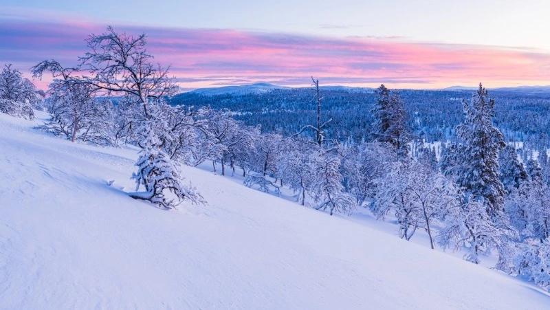 Народные приметы на 29 ноября 2023: что нельзя делать в этот день