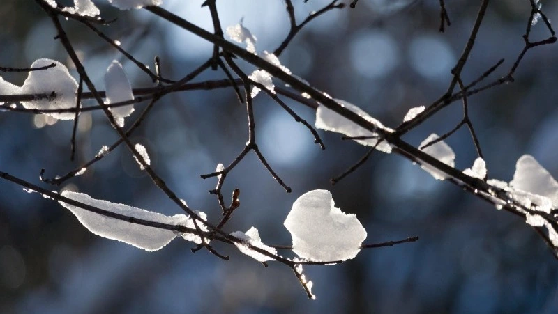 Церковный праздник 22 января 2025: что нельзя делать в этот день, приметы