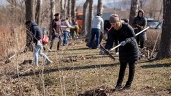 Общероссийский субботник в Южно-Сахалинске перенесли на 24 апреля из-за непогоды