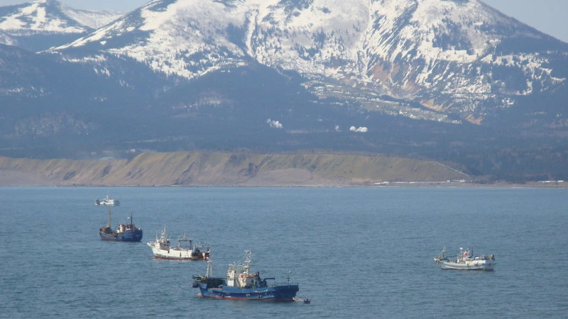 Сахалинцы обошли соседей по качеству жизни