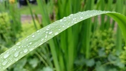 Сильный дождь и похолодание ожидает Южно-Сахалинск 8 августа