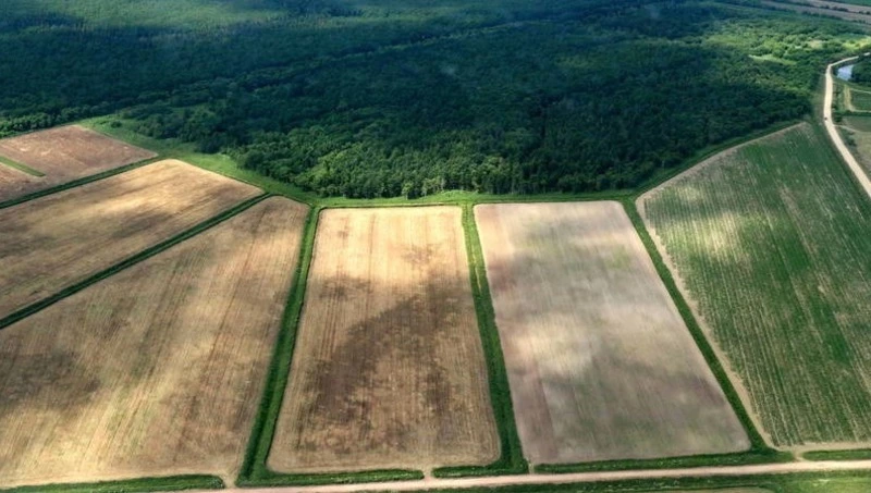 Депутаты Госдумы упростили освоение дальневосточных гектаров