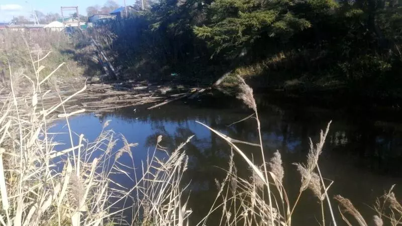 В Корсакове 7-летний ребенок упал в водоотстойник и едва не утонул