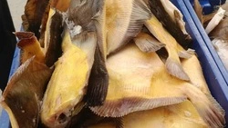 Жителям пяти районов Сахалина и Курил предложили рыбу по социальным ценам 1 декабря