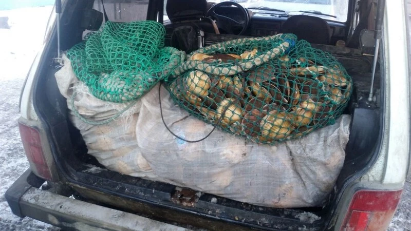 Водолаз в автомобиле привлек внимание сахалинских полицейских