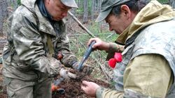 Останки двух советских бойцов нашли на Сахалине