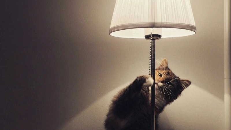 Несколько районов Южно-Сахалинска остались без света 25 июня