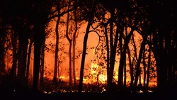 Специалисты фиксируют высокий уровень пожарной опасности в столице Сахалина